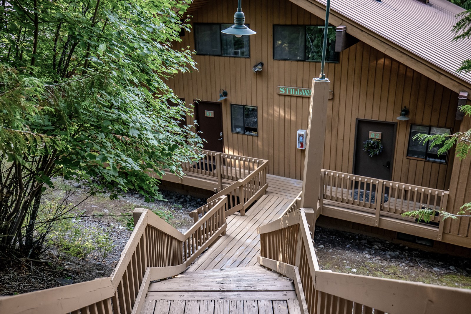 82 Limber Pine Property Photo 4