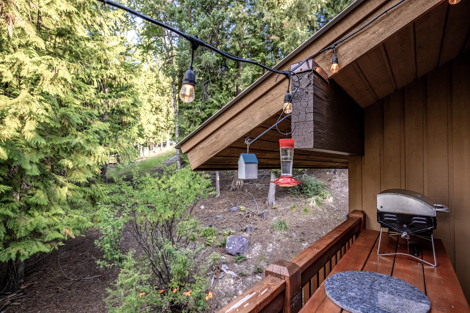 82 Limber Pine Property Photo 16