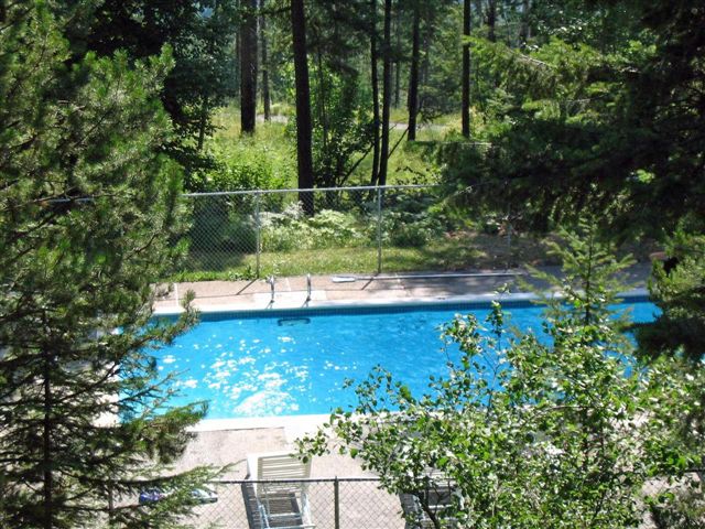 82 Limber Pine Property Photo 42