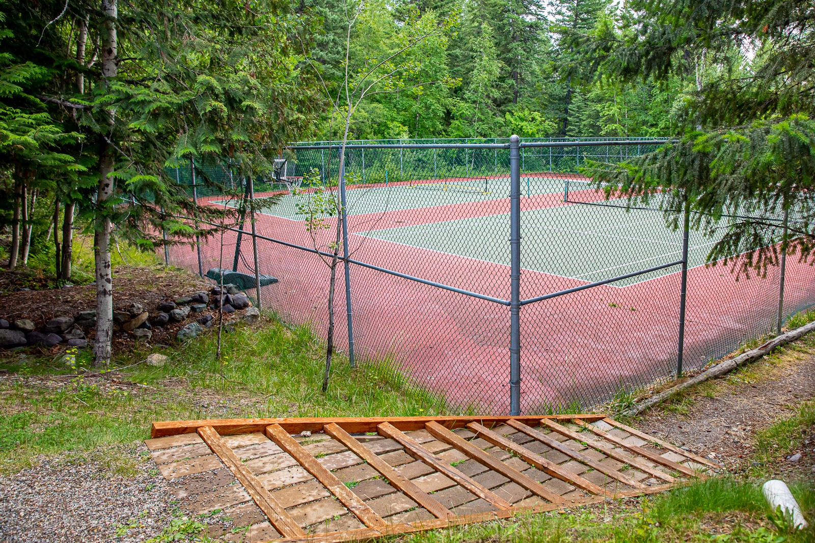82 Limber Pine Property Photo 44