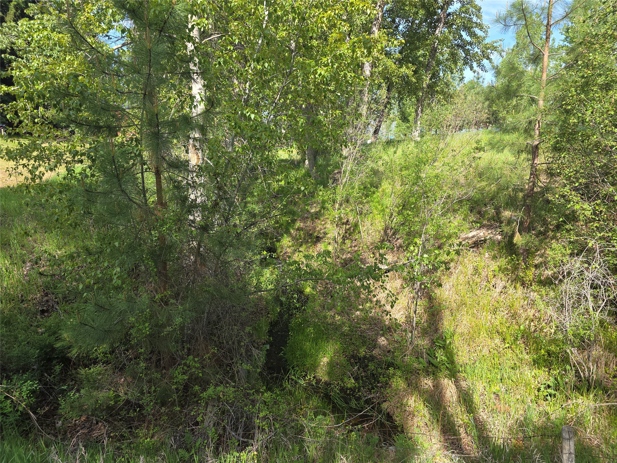 430 W River Road Property Photo 29