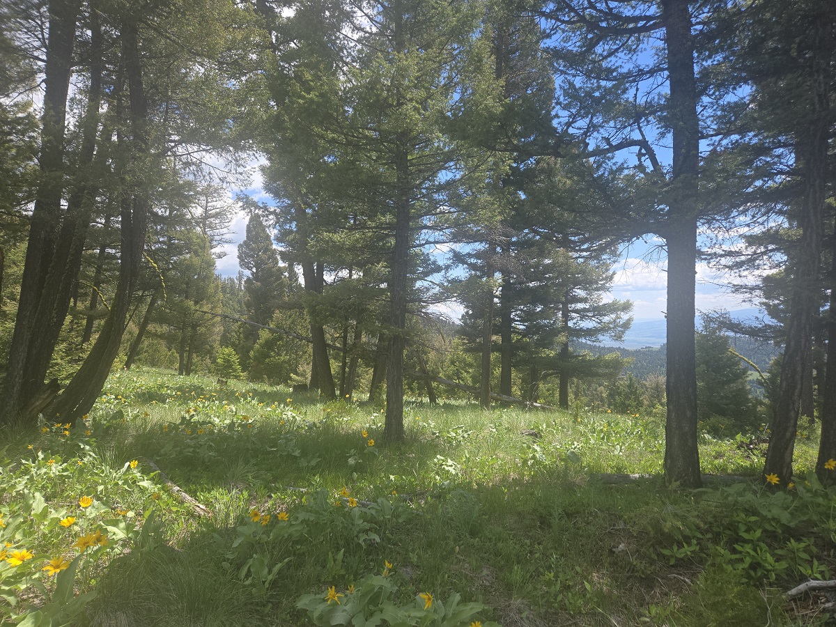 2 Big Sky Ridge Road Property Photo 1