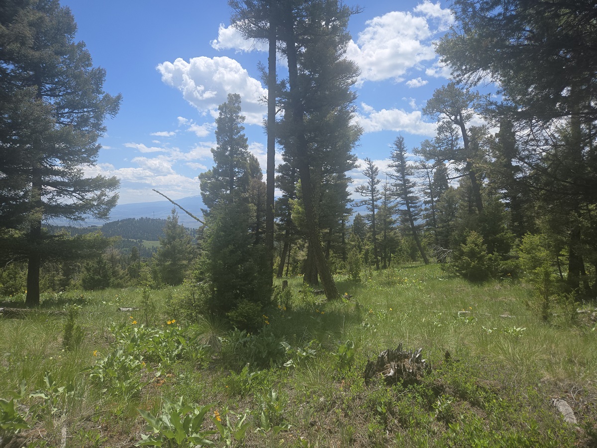 2 Big Sky Ridge Road Property Photo 2