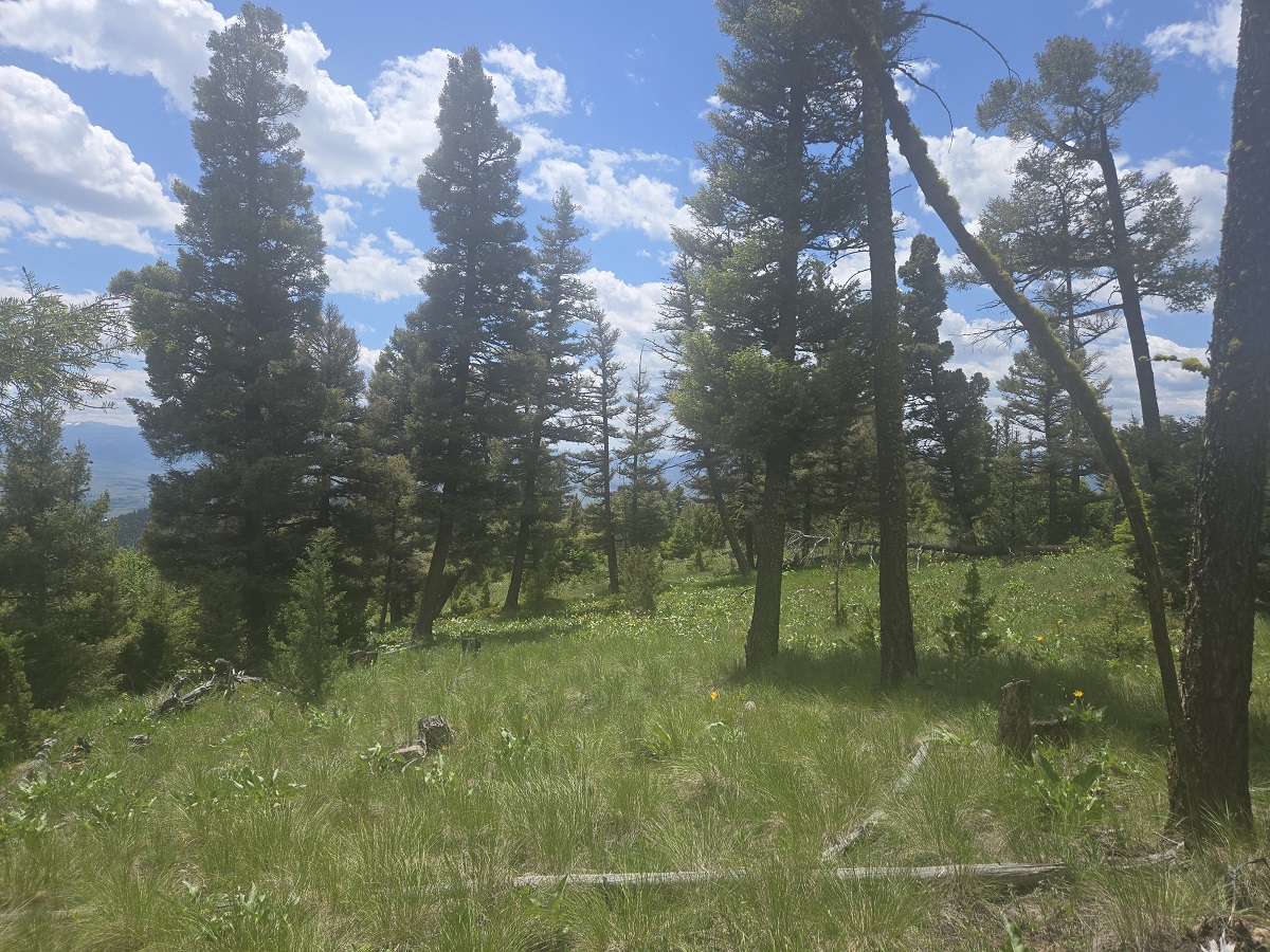 2 Big Sky Ridge Road Property Photo 3