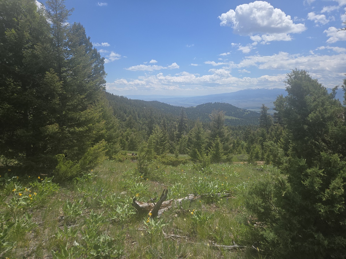2 Big Sky Ridge Road Property Photo 4