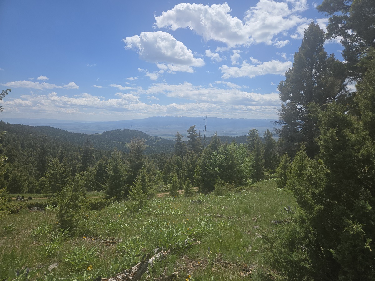 2 Big Sky Ridge Road Property Photo 5