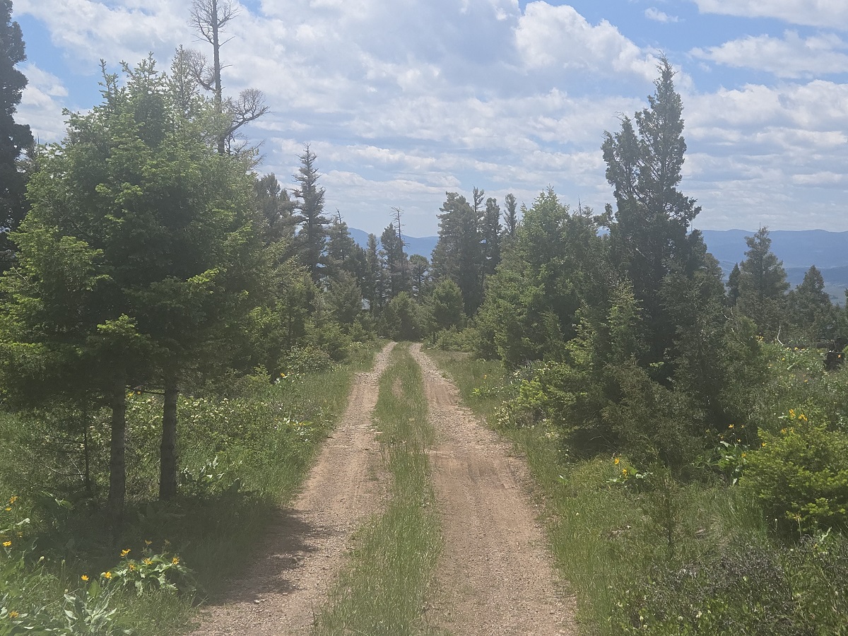 2 Big Sky Ridge Road Property Photo 6