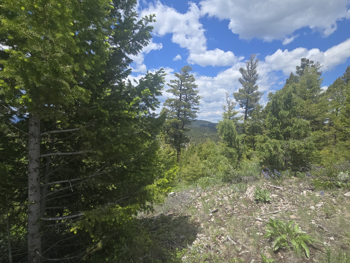 2 Big Sky Ridge Road Property Photo 8