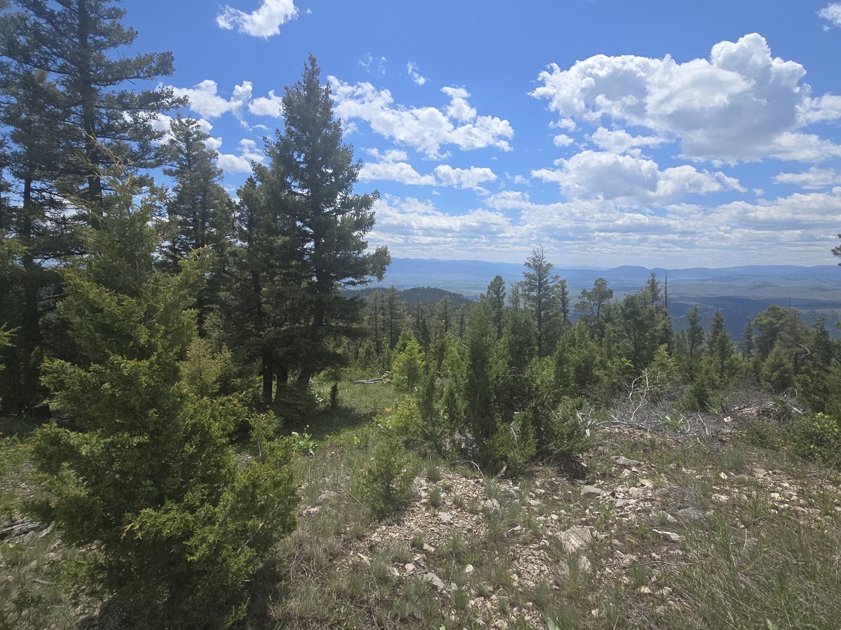 2 Big Sky Ridge Road Property Photo 10