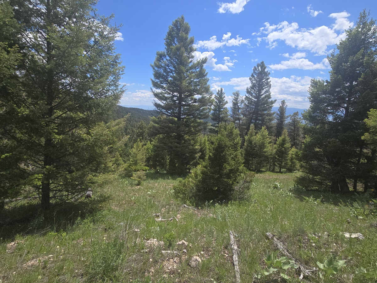 2 Big Sky Ridge Road Property Photo 11