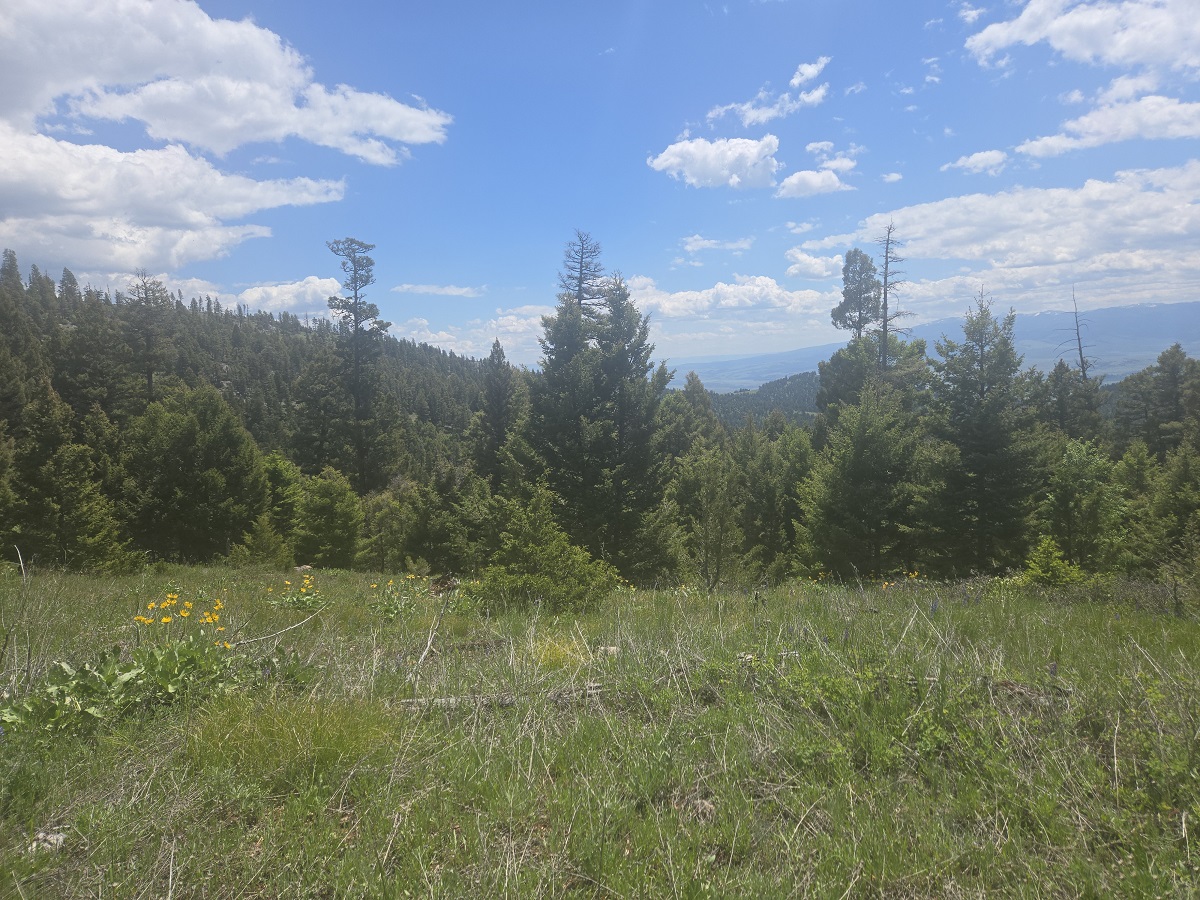 2 Big Sky Ridge Road Property Photo 12