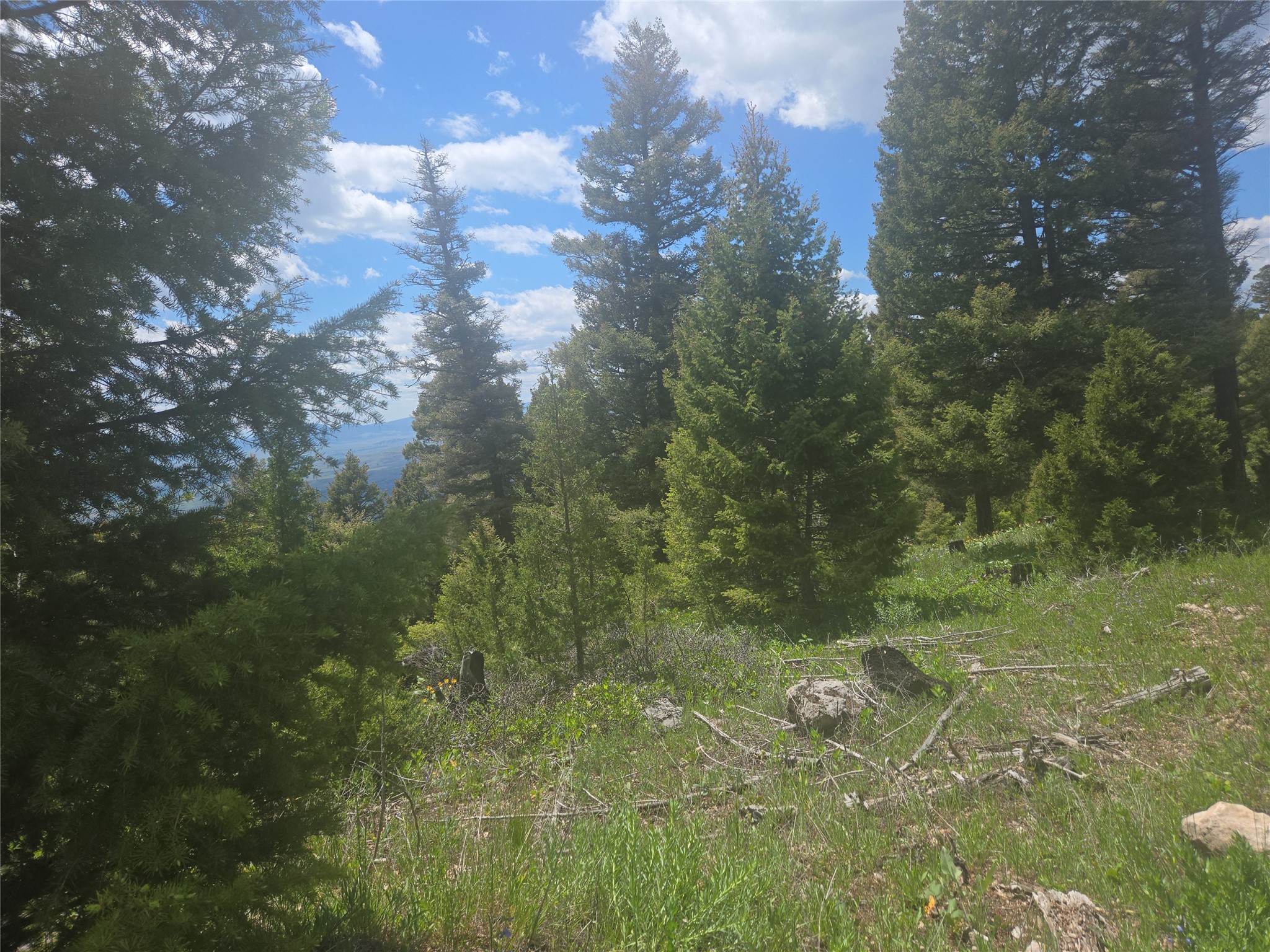 2 Big Sky Ridge Road Property Photo 13