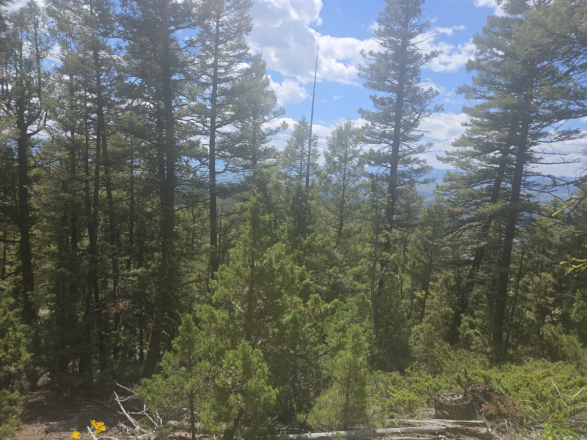 2 Big Sky Ridge Road Property Photo 14