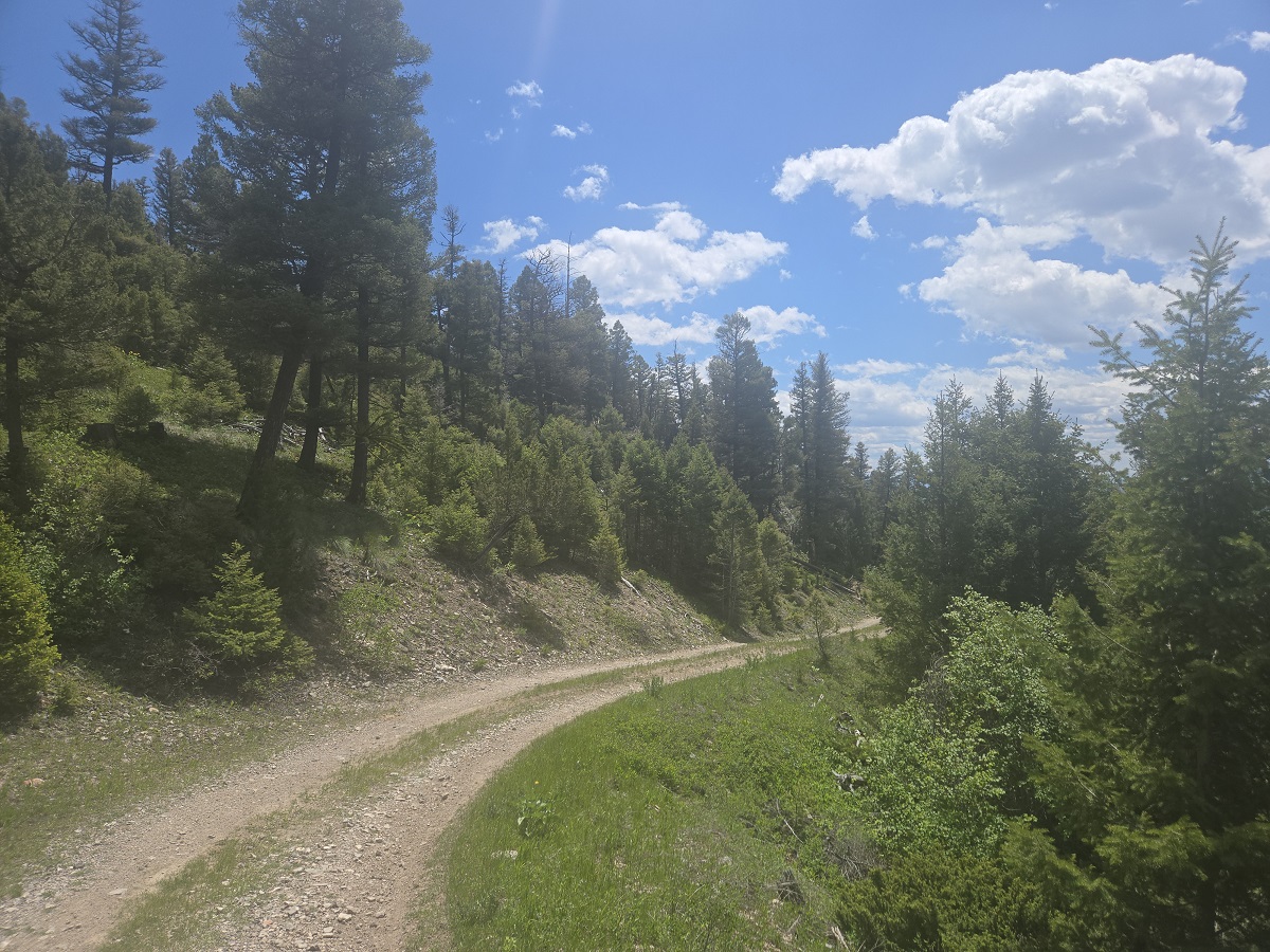 2 Big Sky Ridge Road Property Photo 15