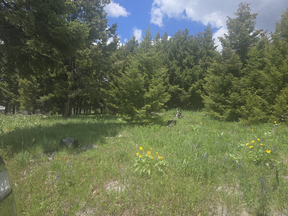 2 Big Sky Ridge Road Property Photo 17