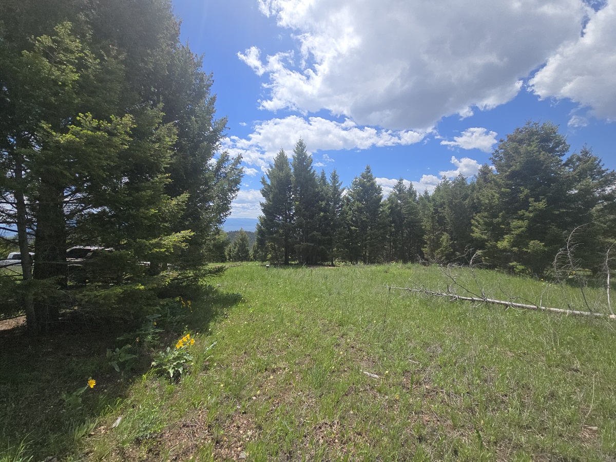 2 Big Sky Ridge Road Property Photo 18