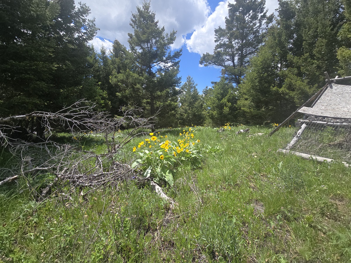 2 Big Sky Ridge Road Property Photo 19