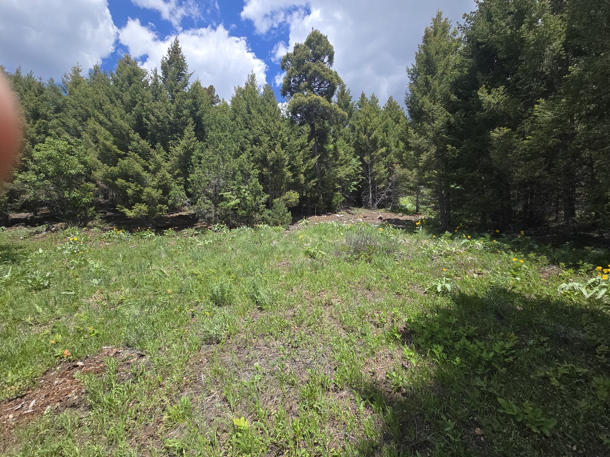 2 Big Sky Ridge Road Property Photo 21