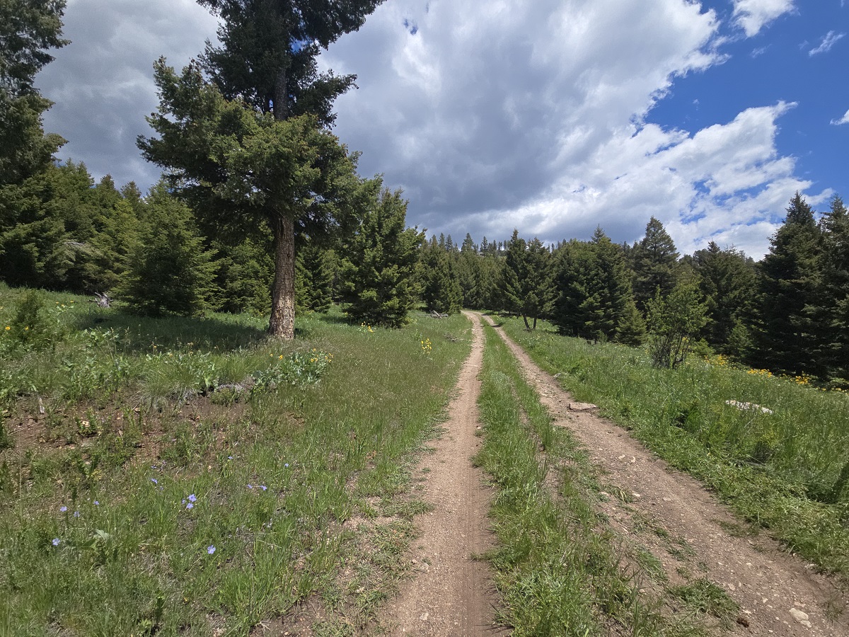 2 Big Sky Ridge Road Property Photo 23