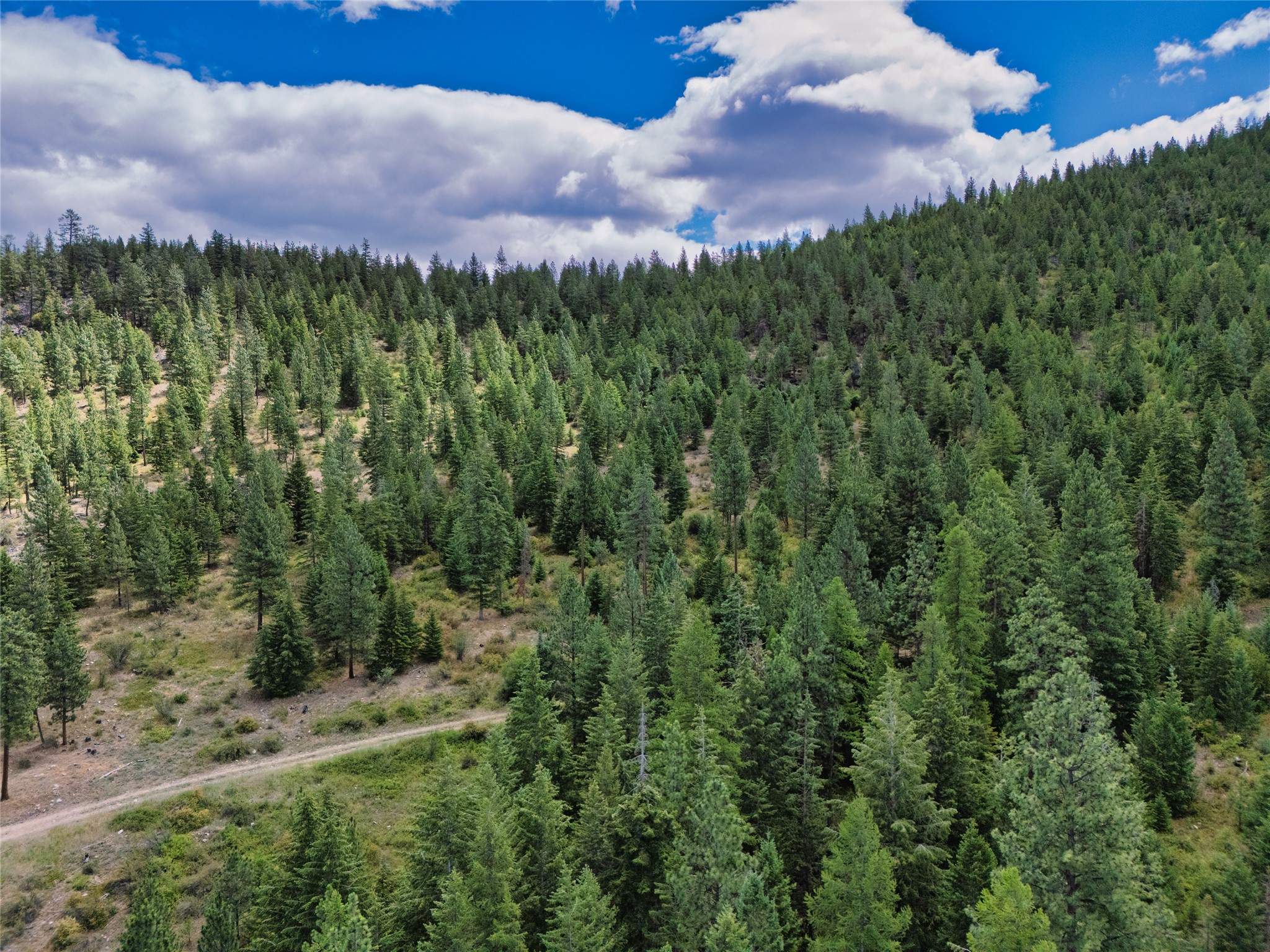 Lot 29 Bighorn Bluff Loop Property Photo 5