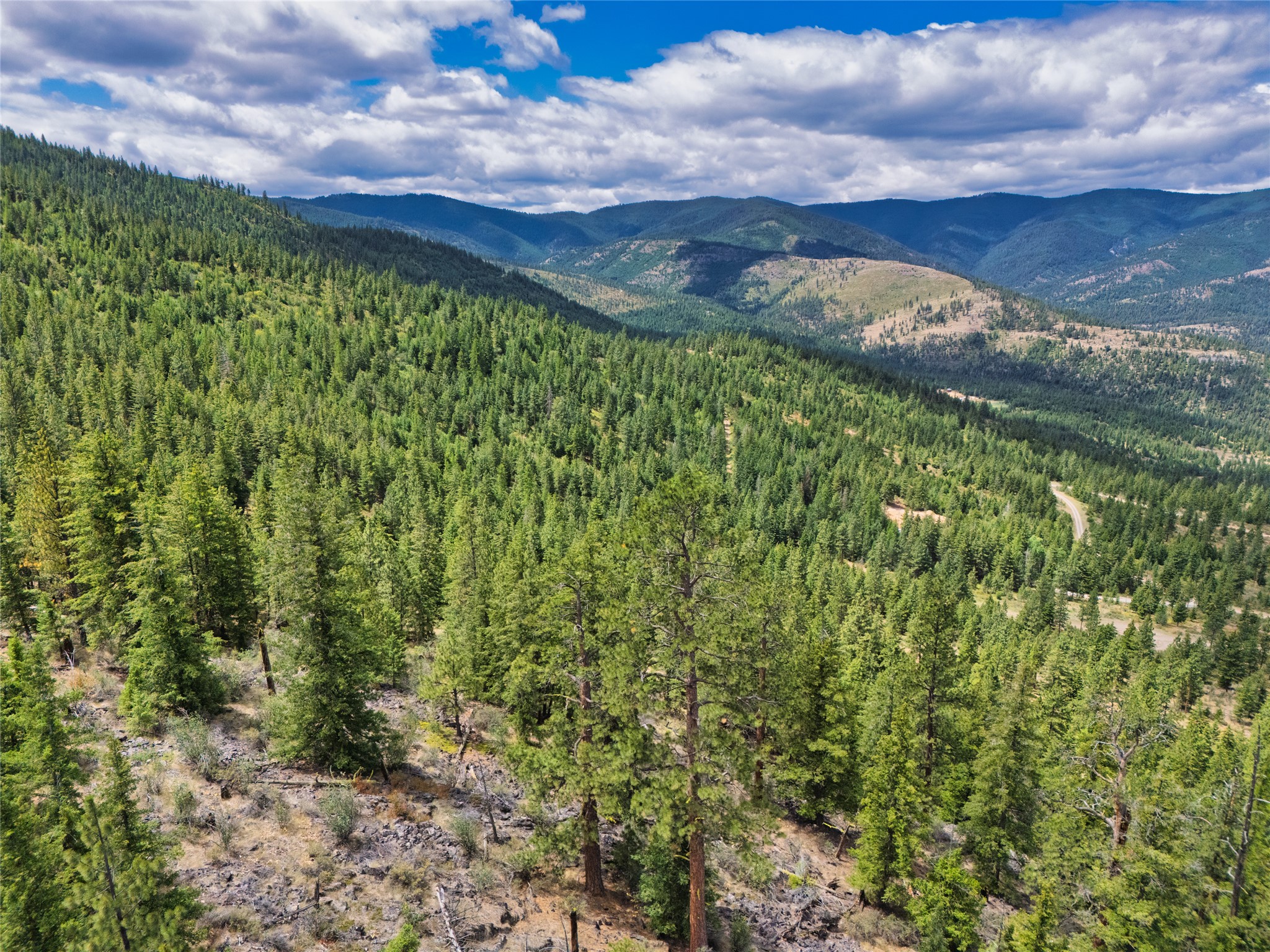 Lot 29 Bighorn Bluff Loop Property Photo 8