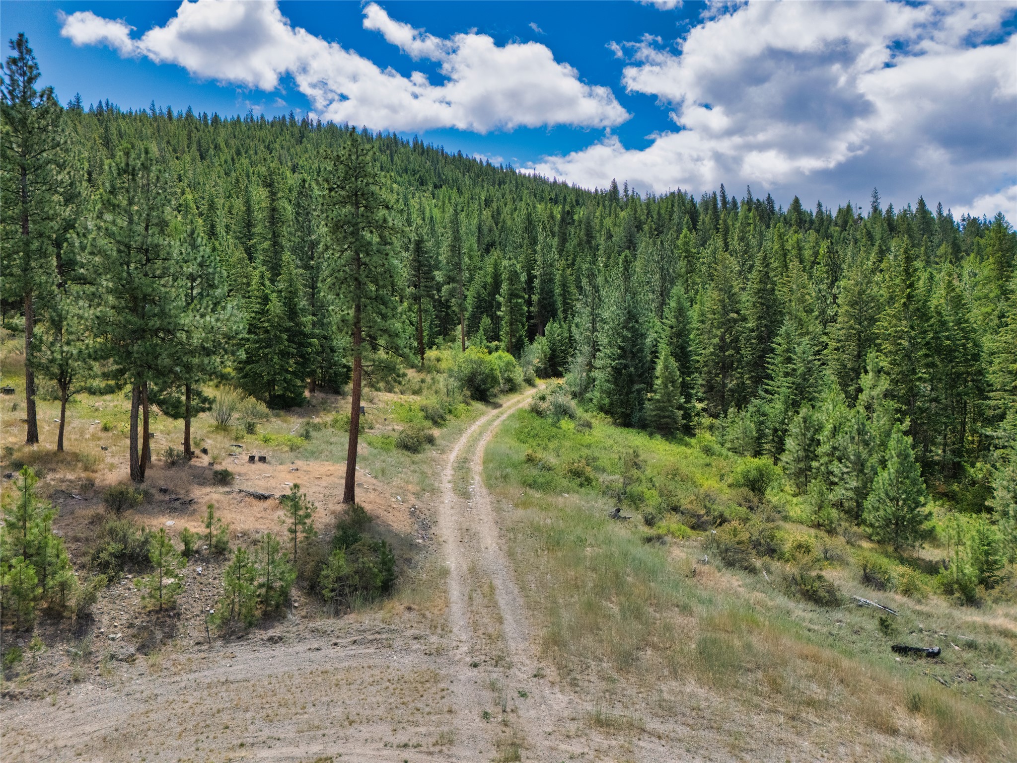 Lot 29 Bighorn Bluff Loop Property Photo 12
