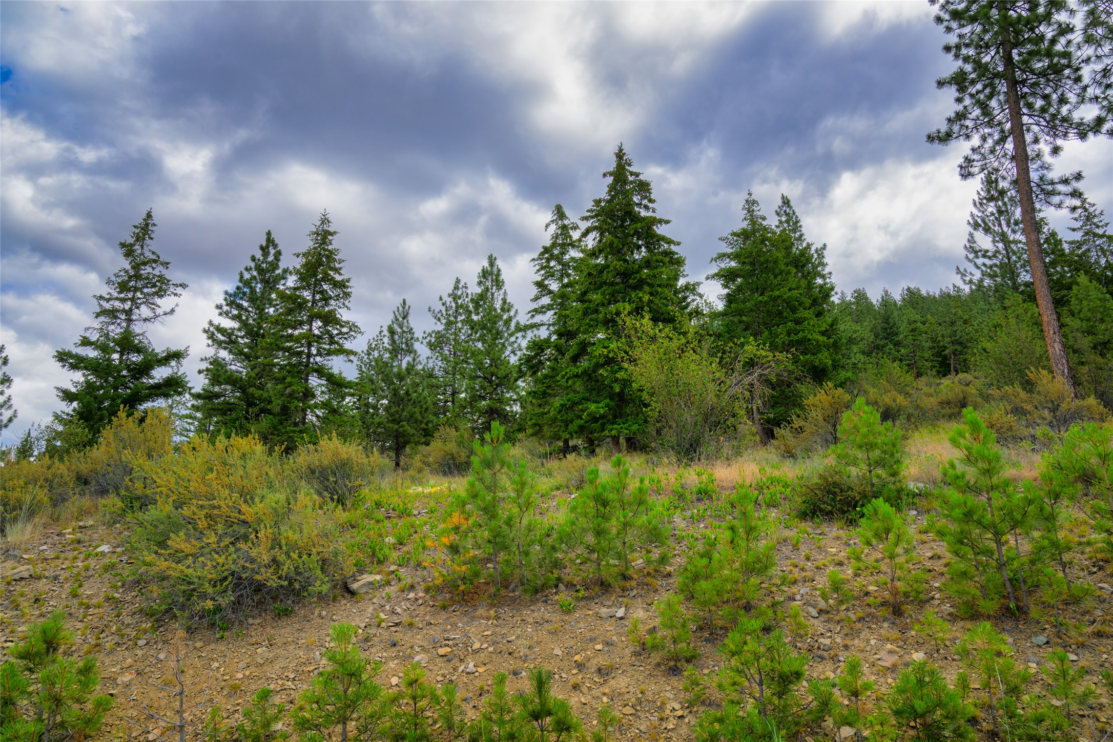 Lot 29 Bighorn Bluff Loop Property Photo 14