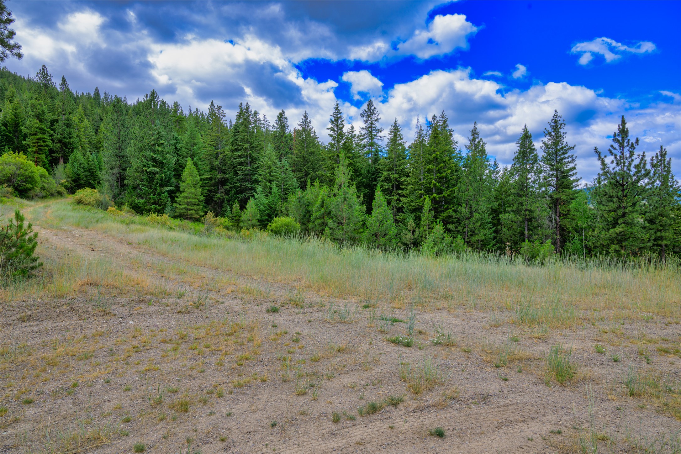 Lot 29 Bighorn Bluff Loop Property Photo 15