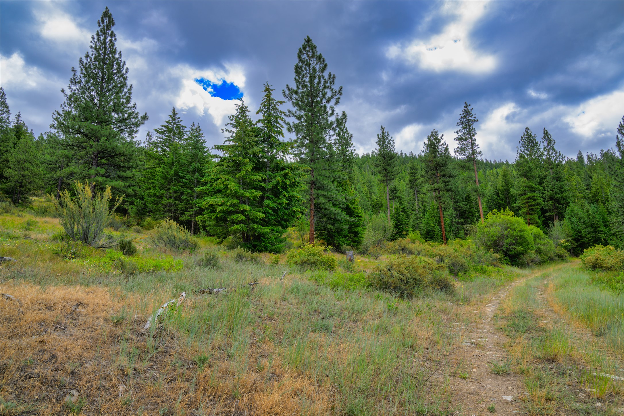 Lot 29 Bighorn Bluff Loop Property Photo 16