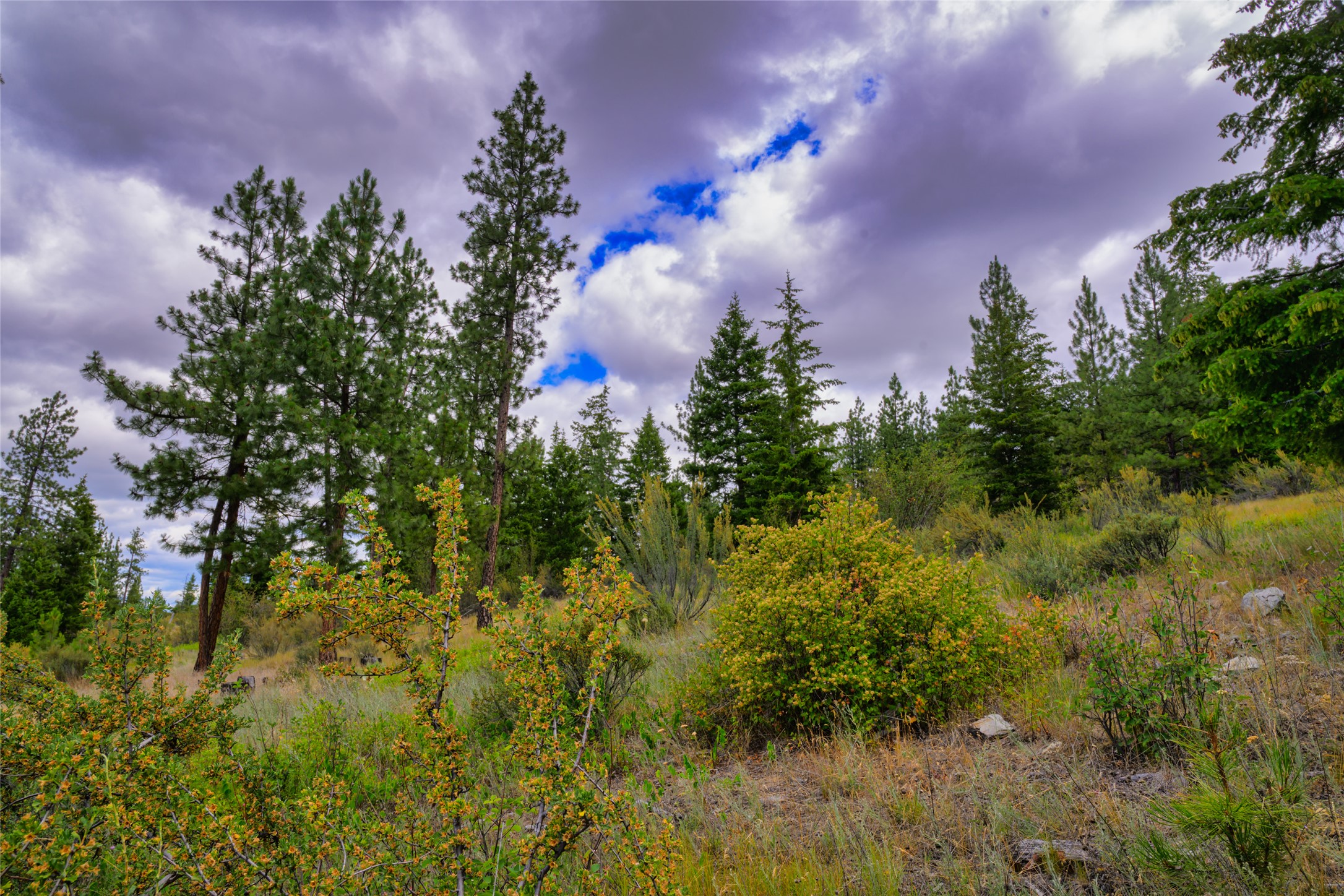 Lot 29 Bighorn Bluff Loop Property Photo 17