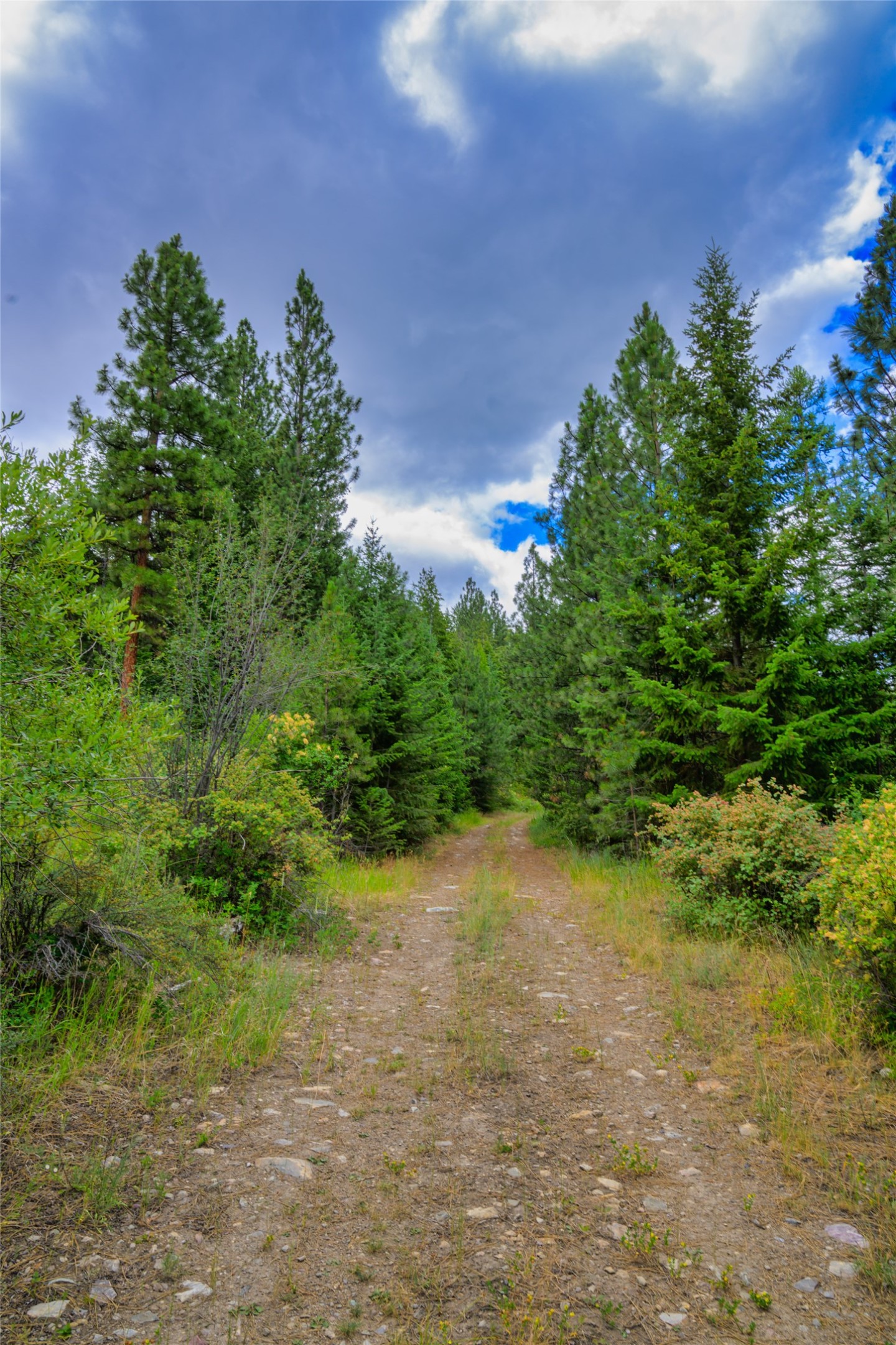 Lot 29 Bighorn Bluff Loop Property Photo 18