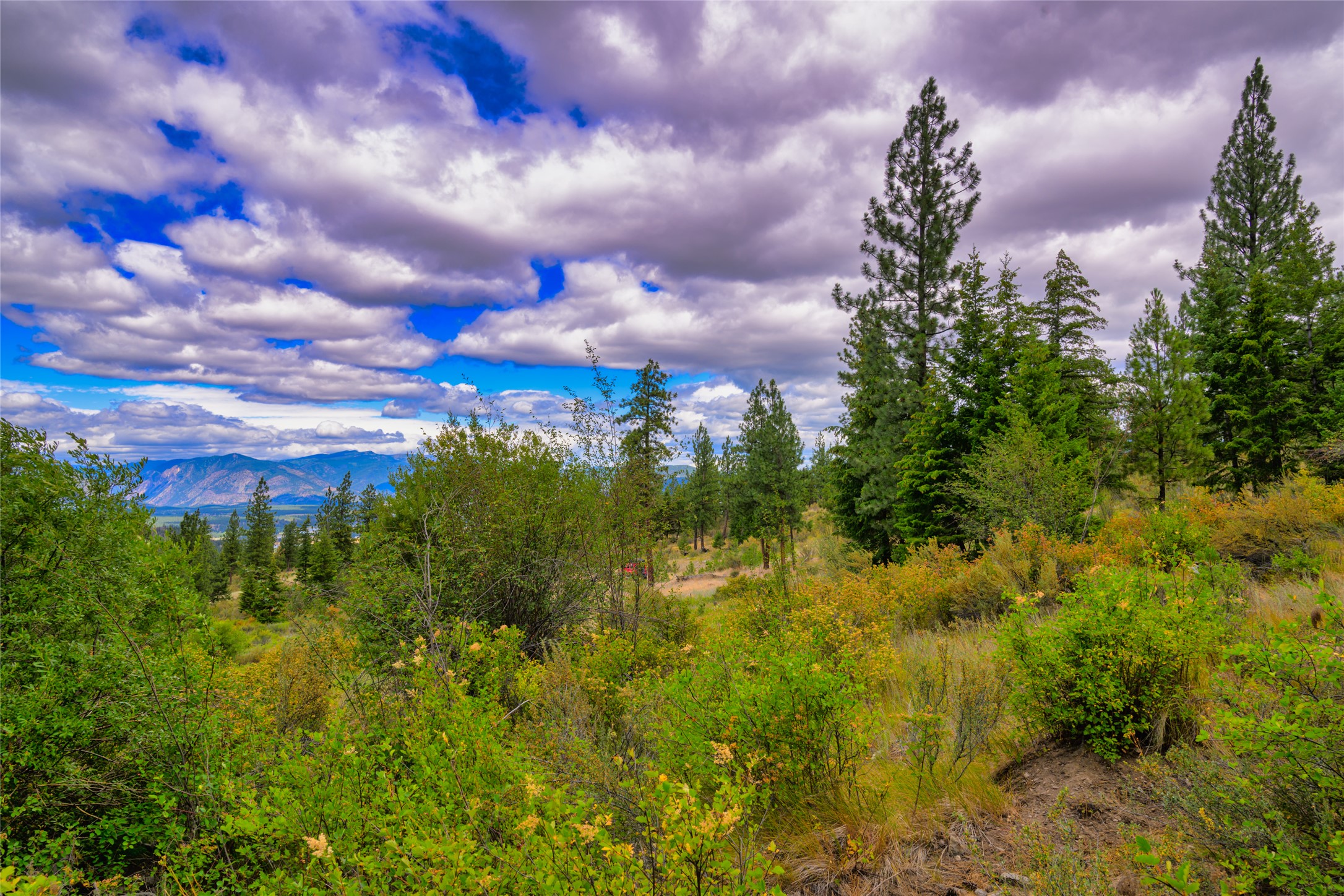 Lot 29 Bighorn Bluff Loop Property Photo 19