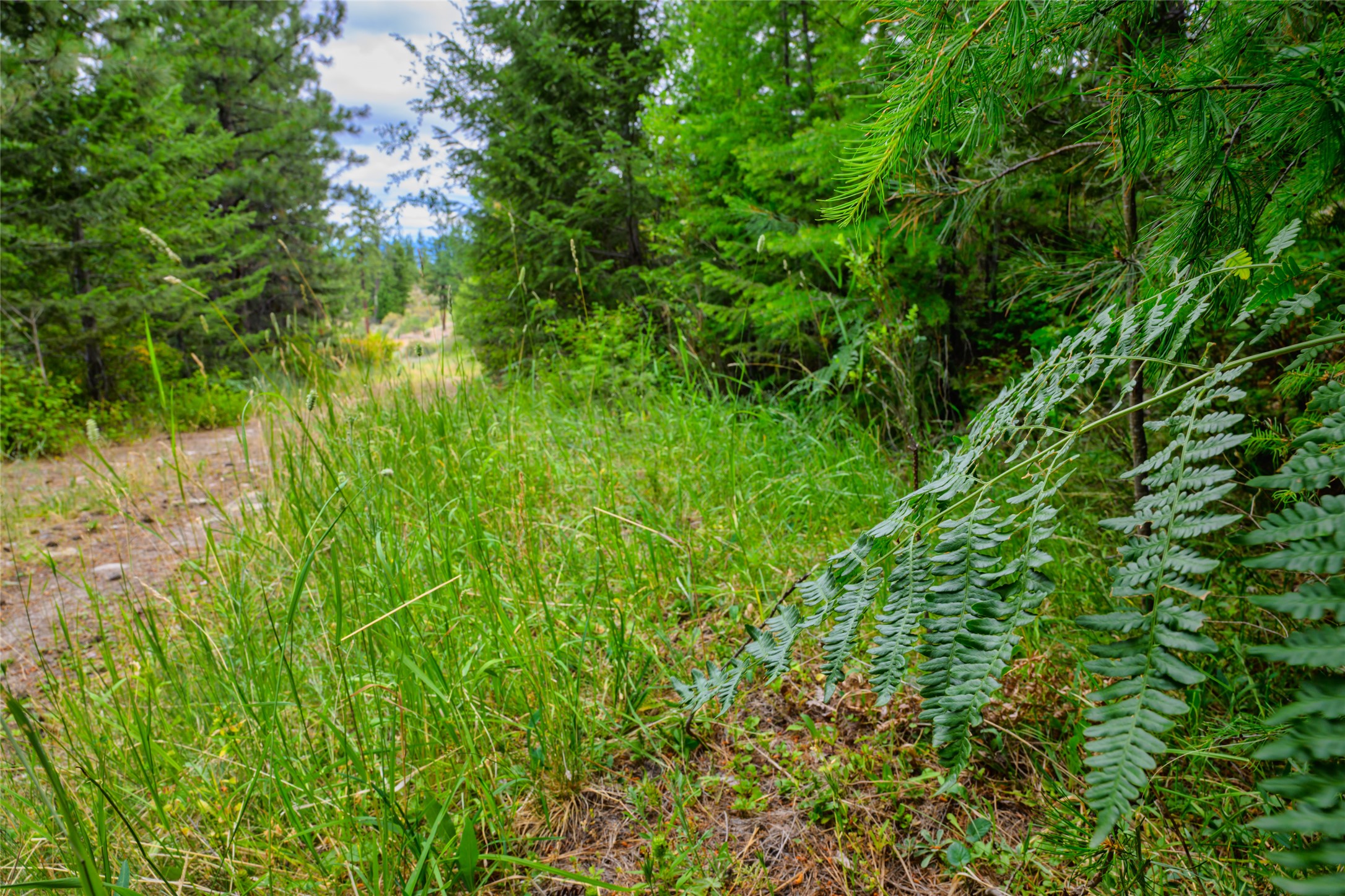 Lot 29 Bighorn Bluff Loop Property Photo 20