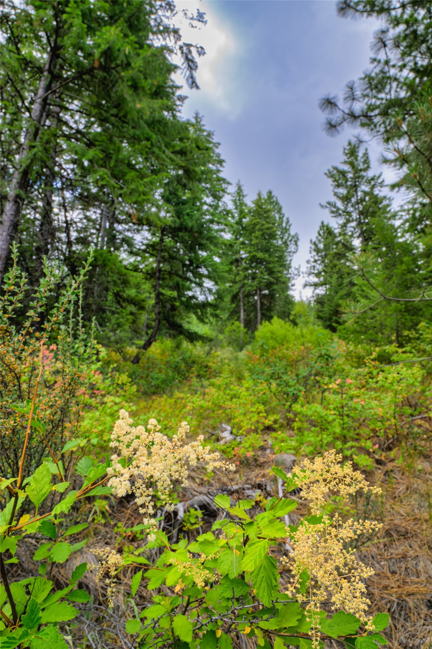 Lot 29 Bighorn Bluff Loop Property Photo 21