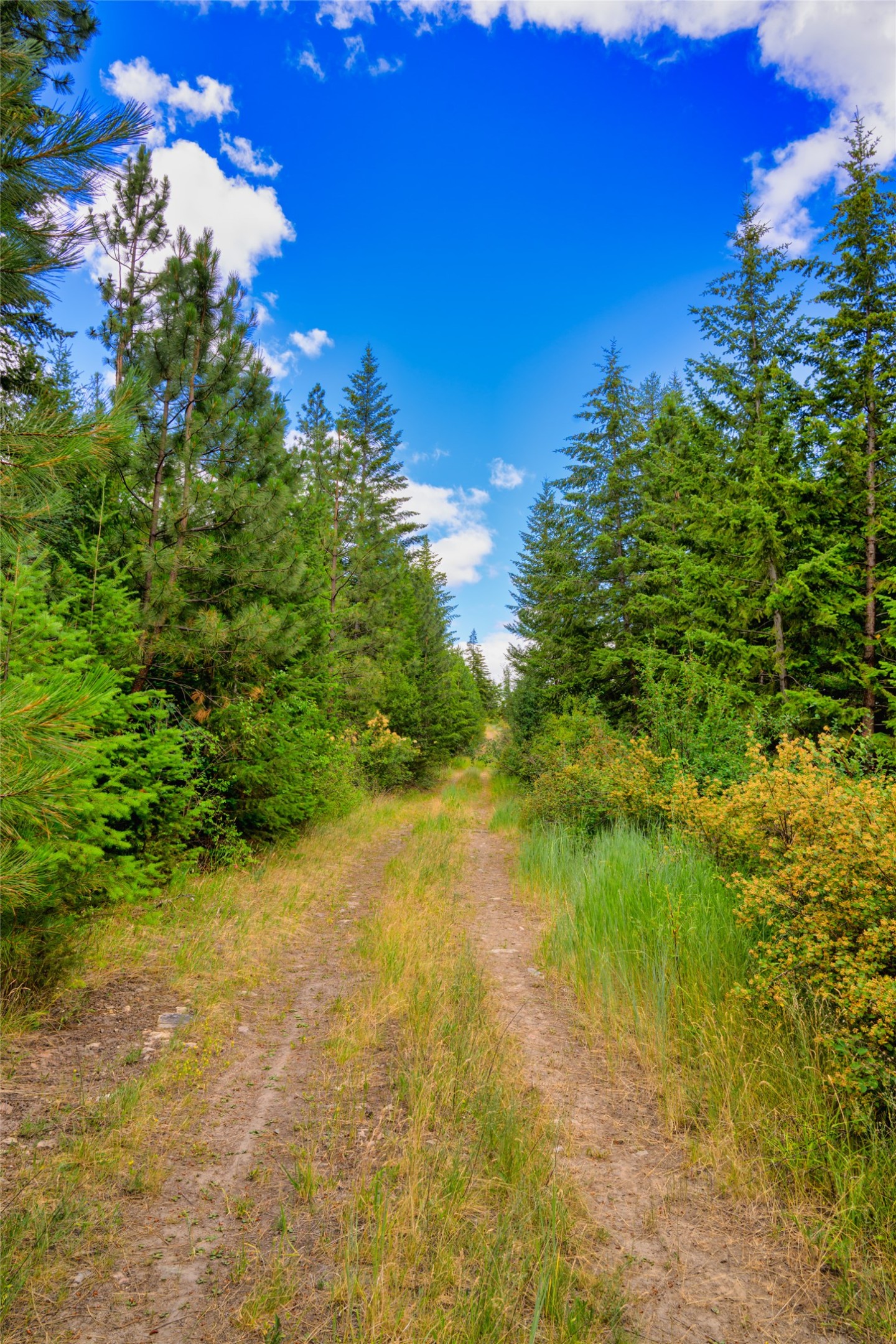 Lot 29 Bighorn Bluff Loop Property Photo 22