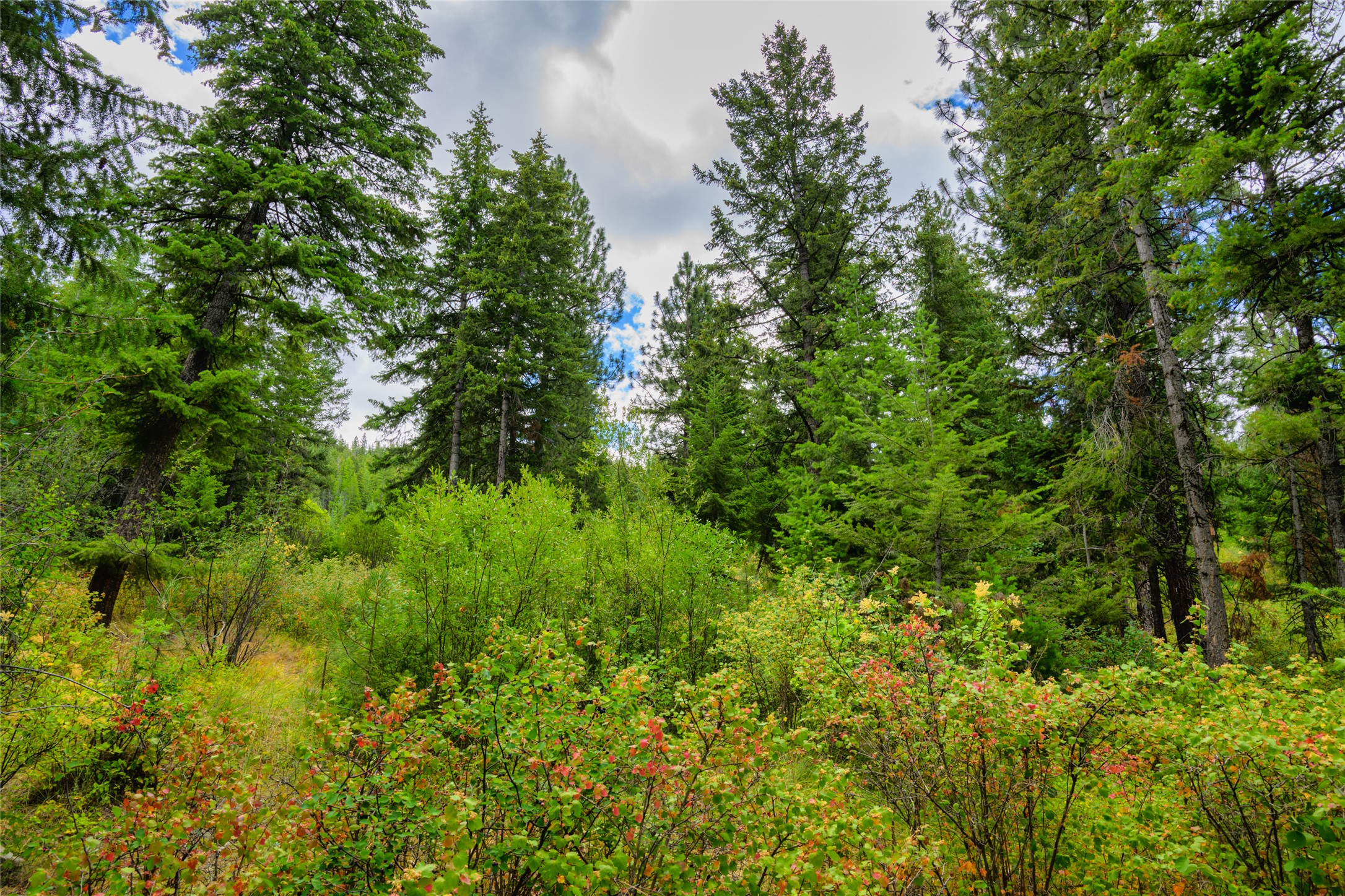 Lot 29 Bighorn Bluff Loop Property Photo 24