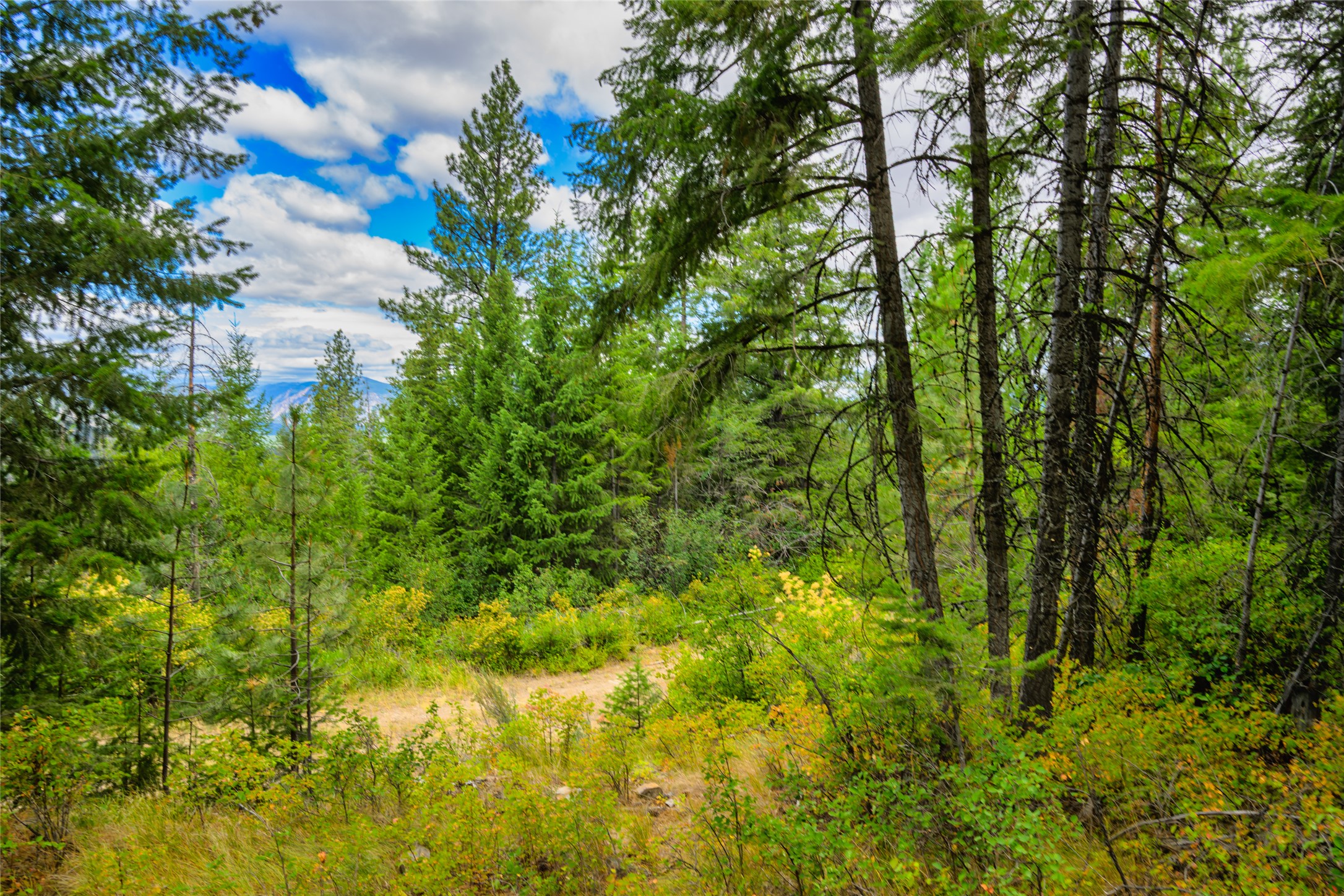 Lot 29 Bighorn Bluff Loop Property Photo 25