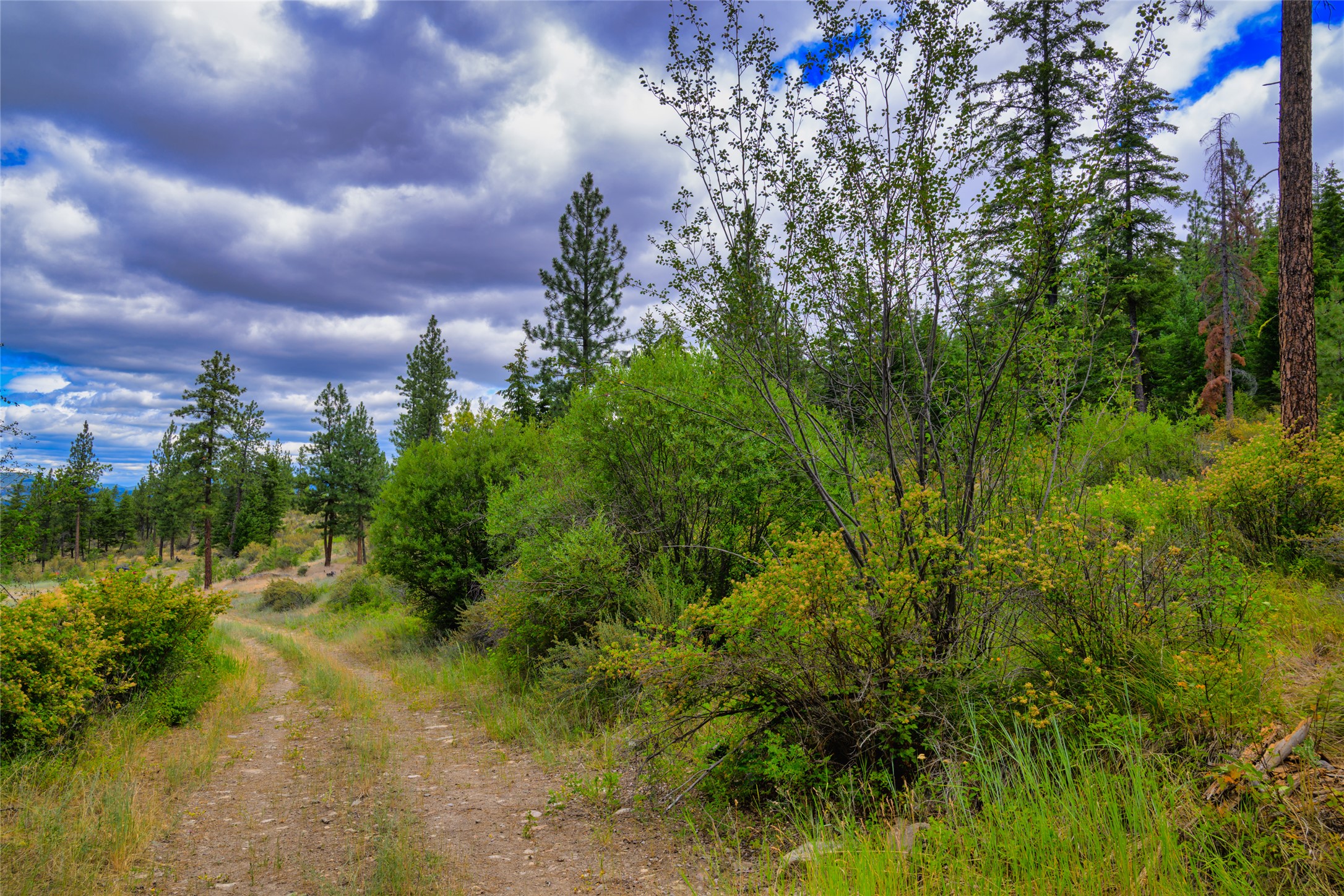 Lot 29 Bighorn Bluff Loop Property Photo 26