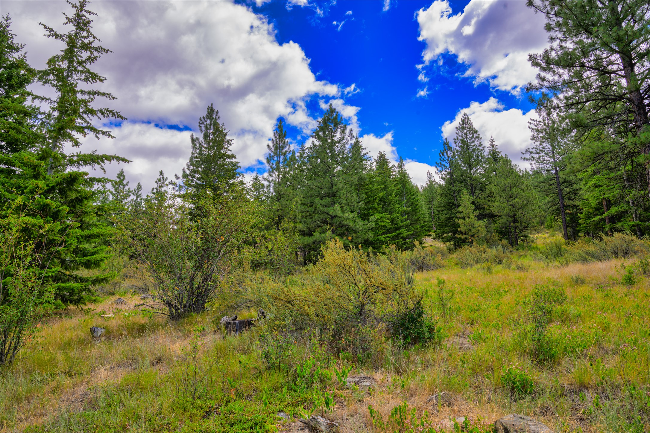 Lot 29 Bighorn Bluff Loop Property Photo 29