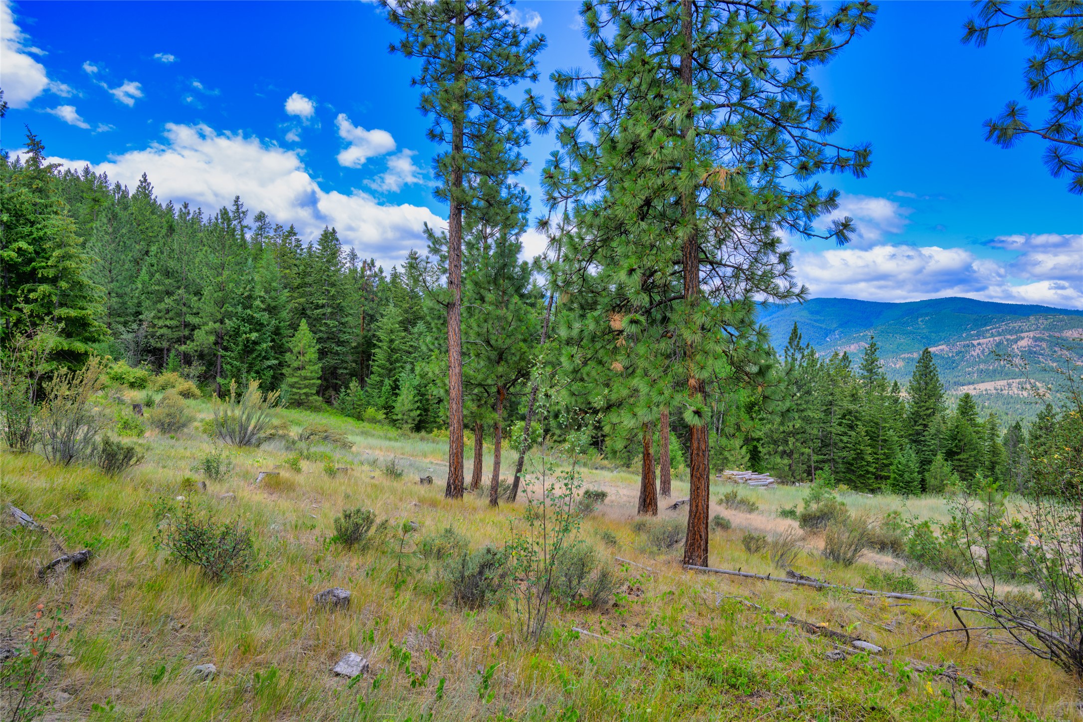Lot 29 Bighorn Bluff Loop Property Photo 31