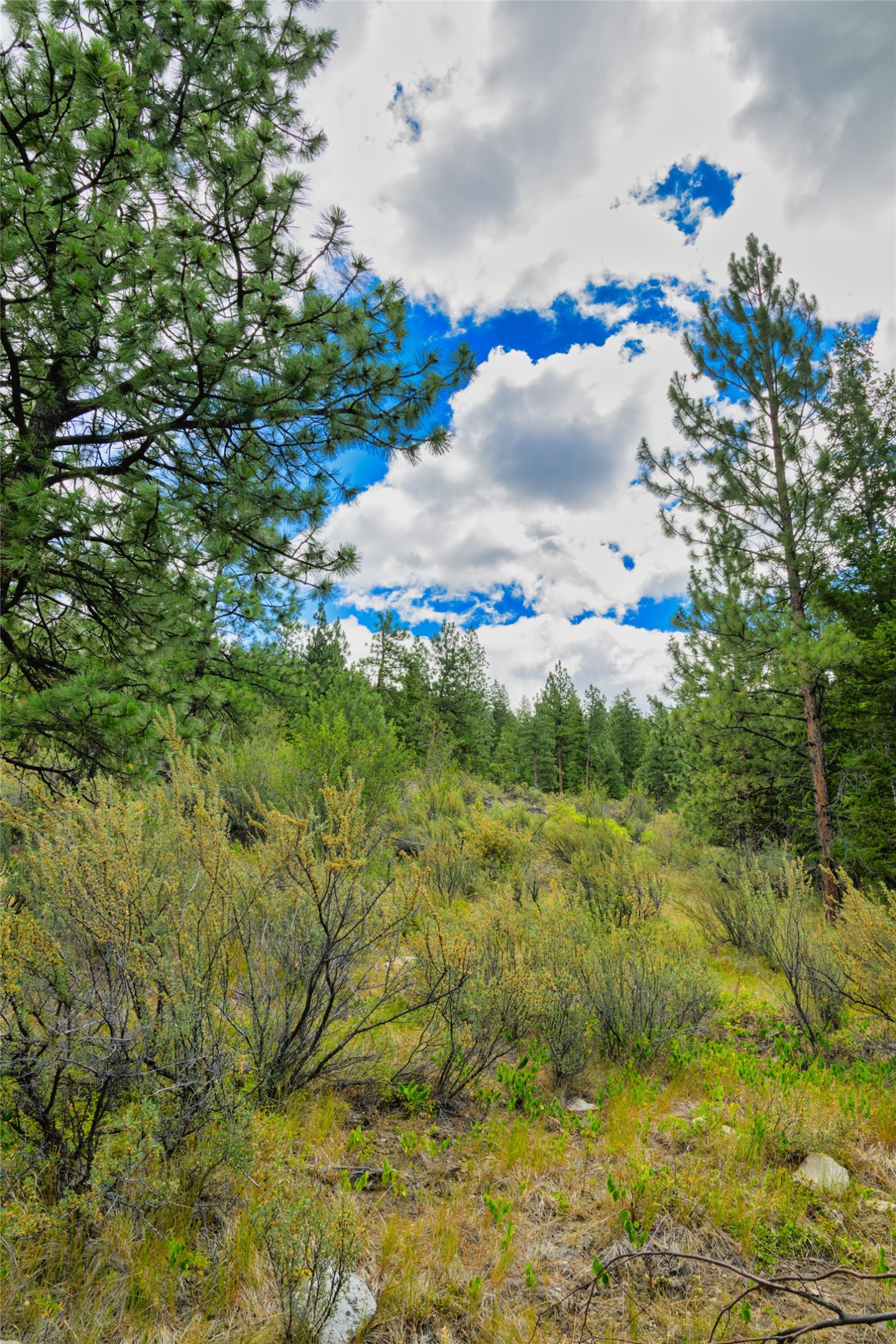 Lot 29 Bighorn Bluff Loop Property Photo 32