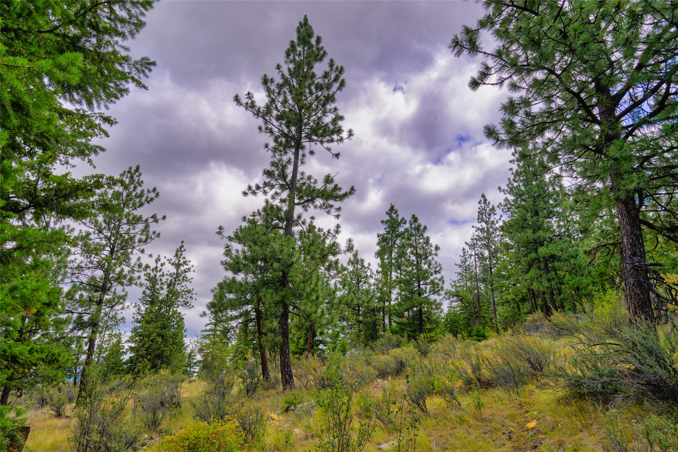 Lot 29 Bighorn Bluff Loop Property Photo 33