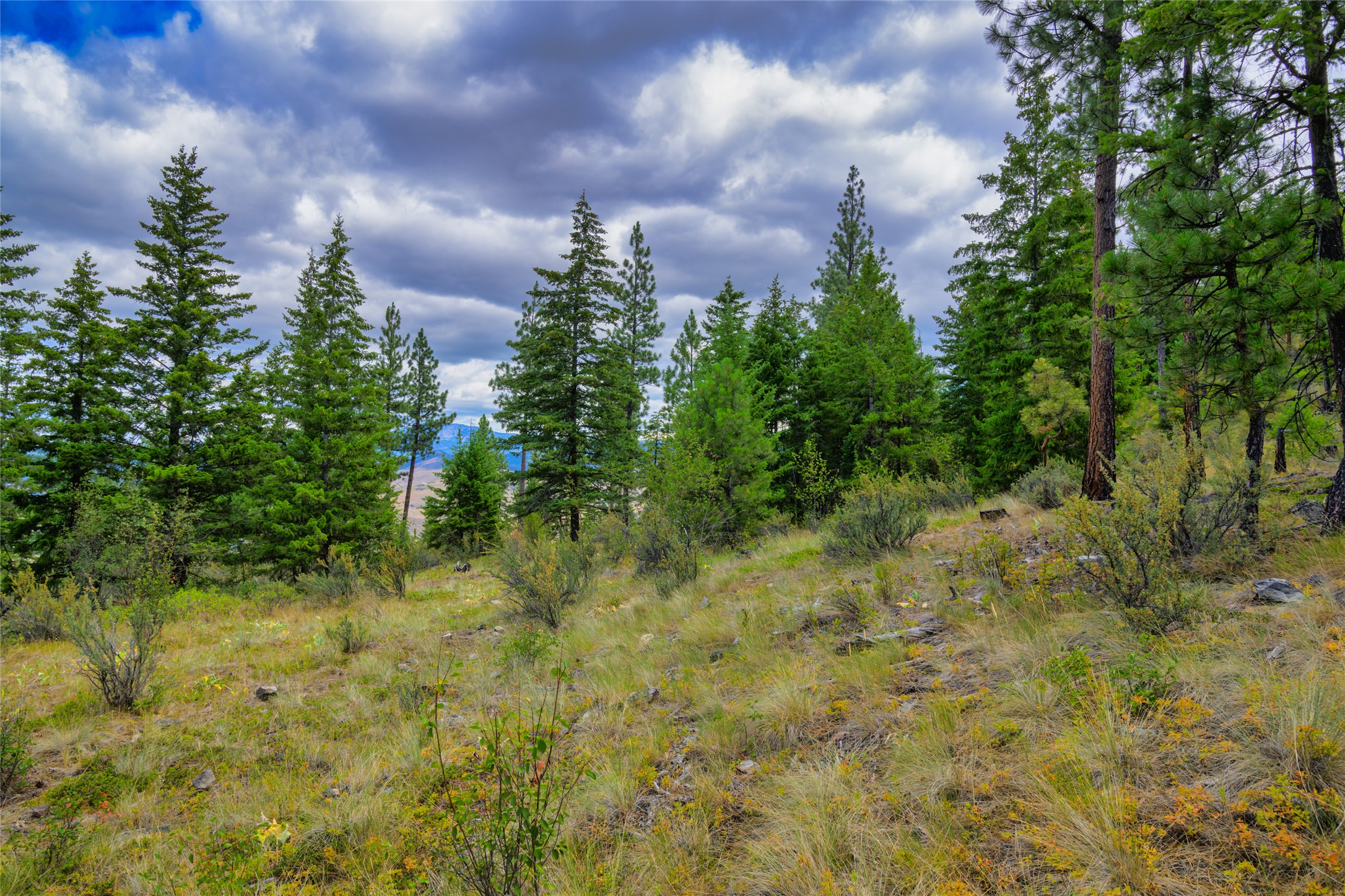 Lot 29 Bighorn Bluff Loop Property Photo 34