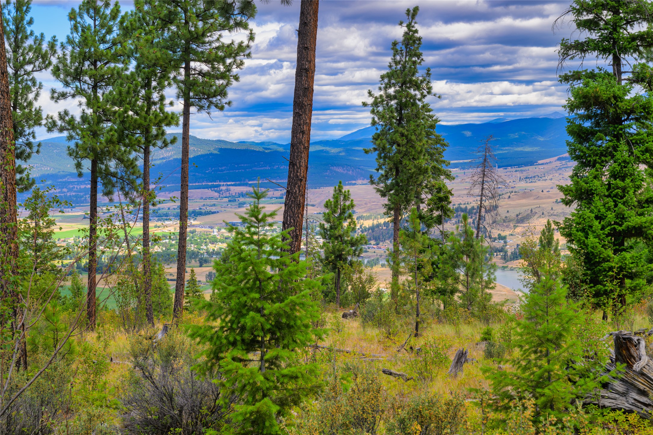 Lot 29 Bighorn Bluff Loop Property Photo 36