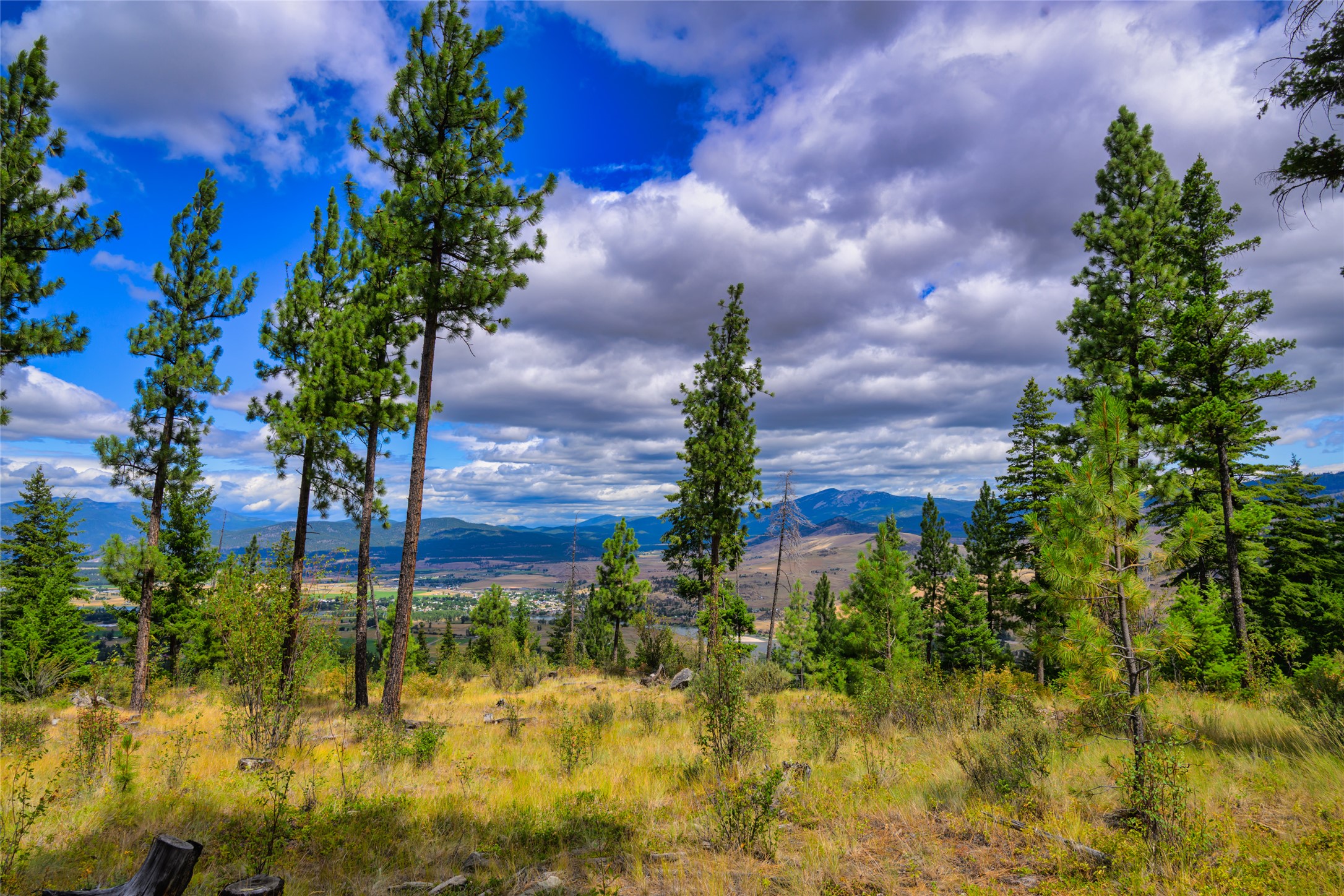 Lot 29 Bighorn Bluff Loop Property Photo 38