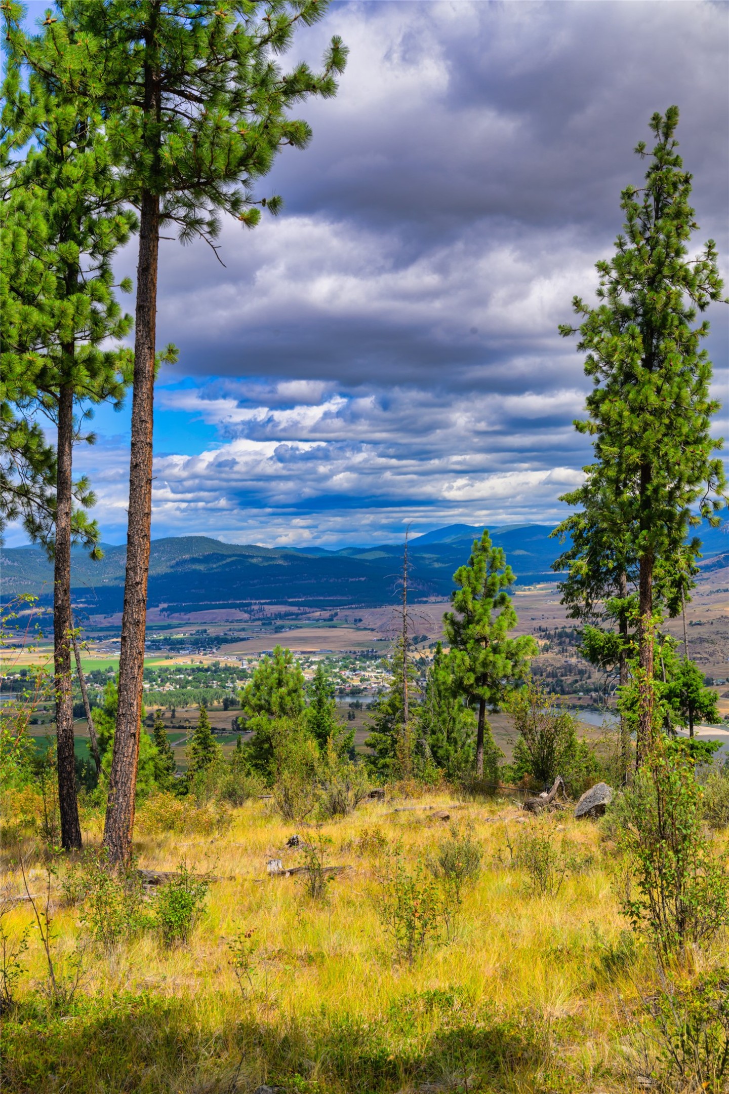 Lot 29 Bighorn Bluff Loop Property Photo 39