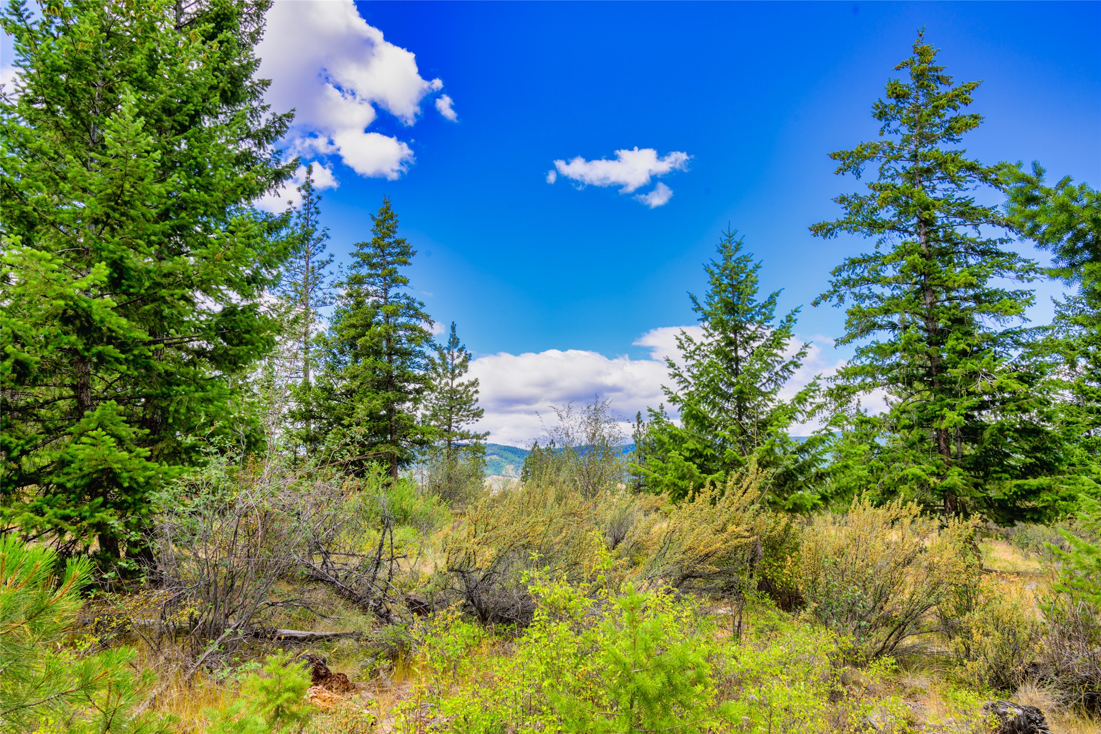 Lot 29 Bighorn Bluff Loop Property Photo 40