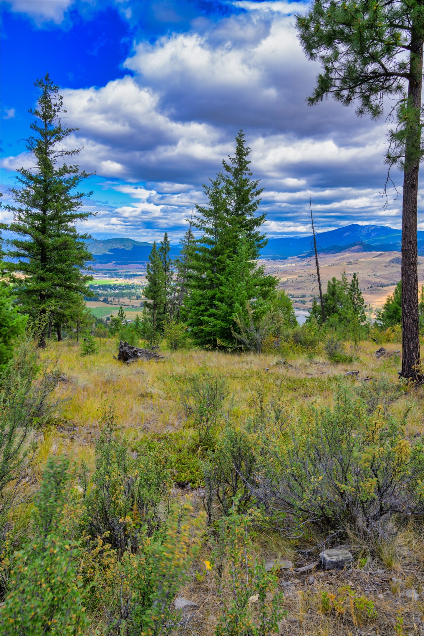 Lot 29 Bighorn Bluff Loop Property Photo 41