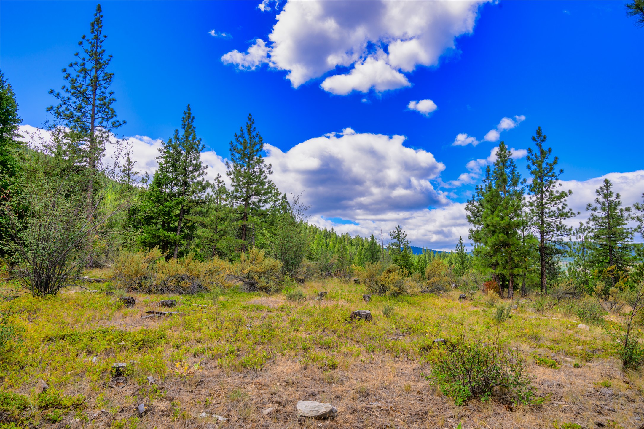 Lot 29 Bighorn Bluff Loop Property Photo 42
