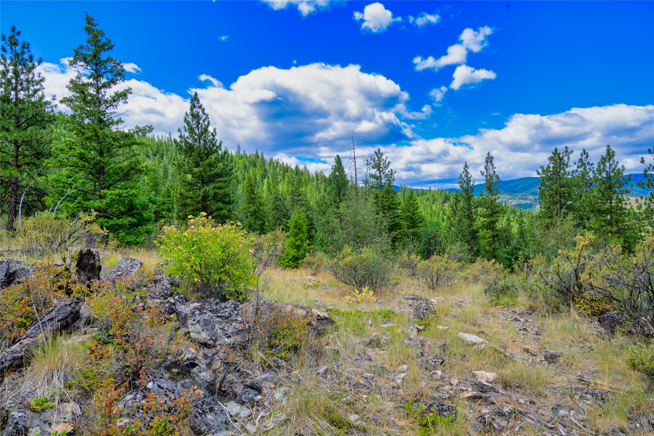 Lot 29 Bighorn Bluff Loop Property Photo 43